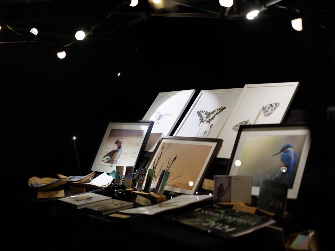 Weihnachtsmarkt Harburg 2023