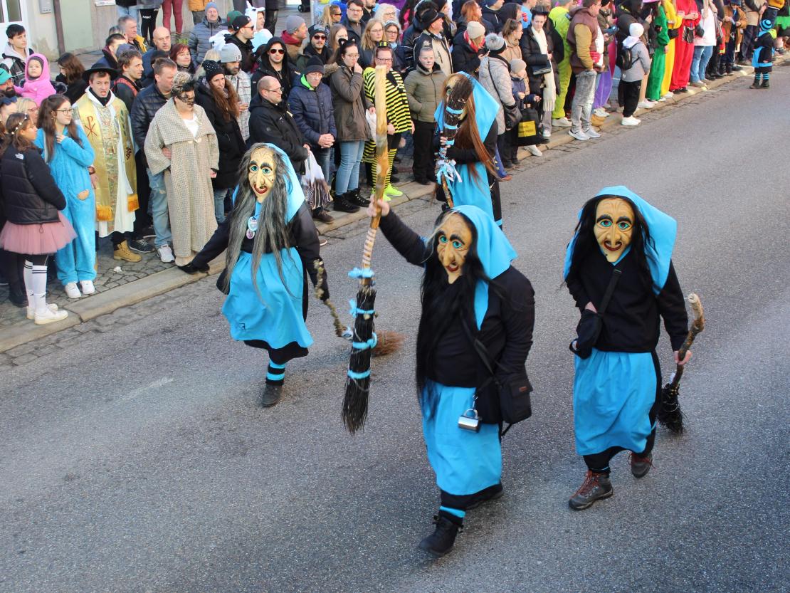 Faschingsumzug Donauwörth 2024