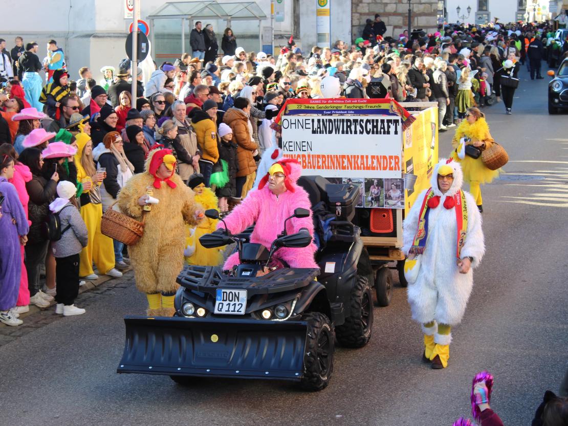 Faschingsumzug Donauwörth 2024