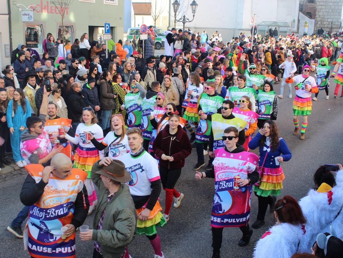 Faschingsumzug Donauwörth 2024