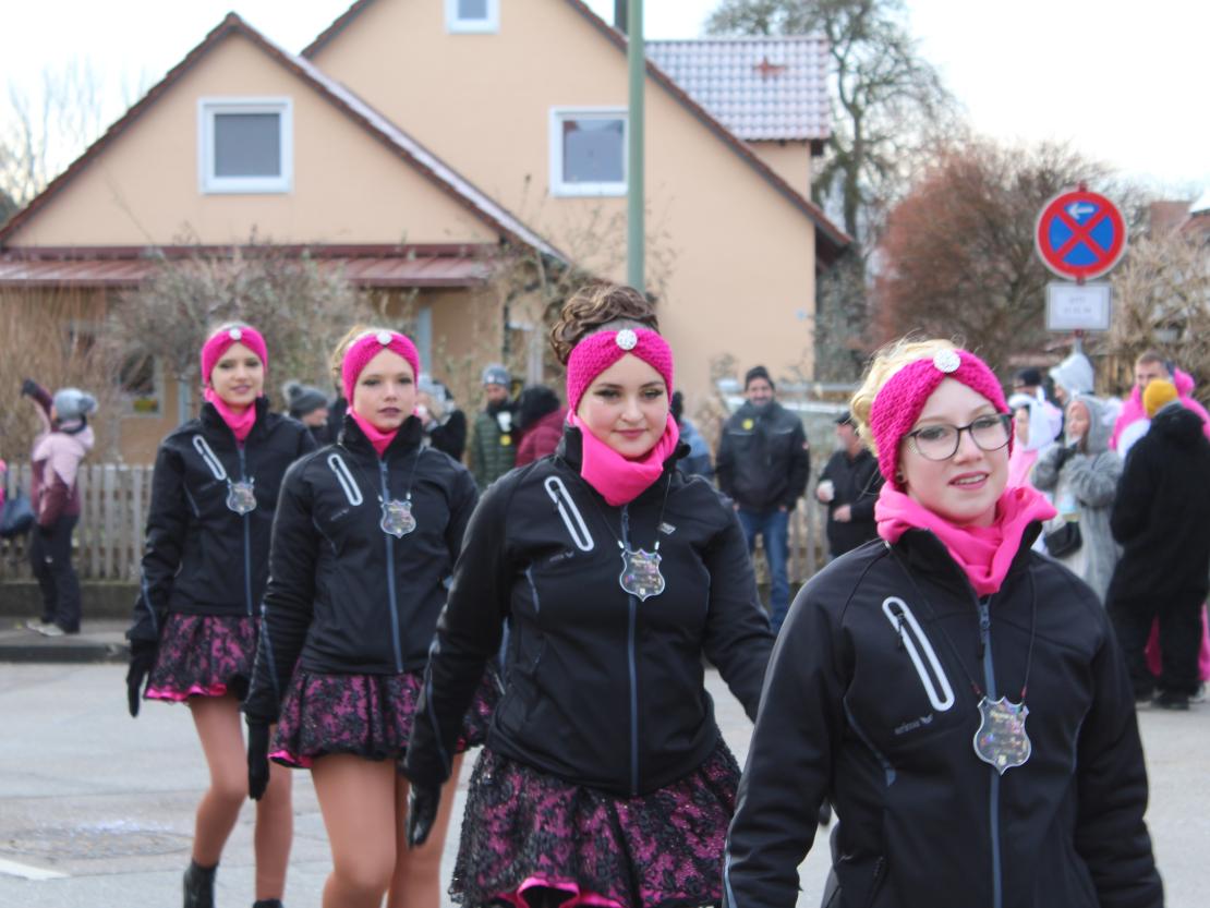 Faschingsumzug Mertingen