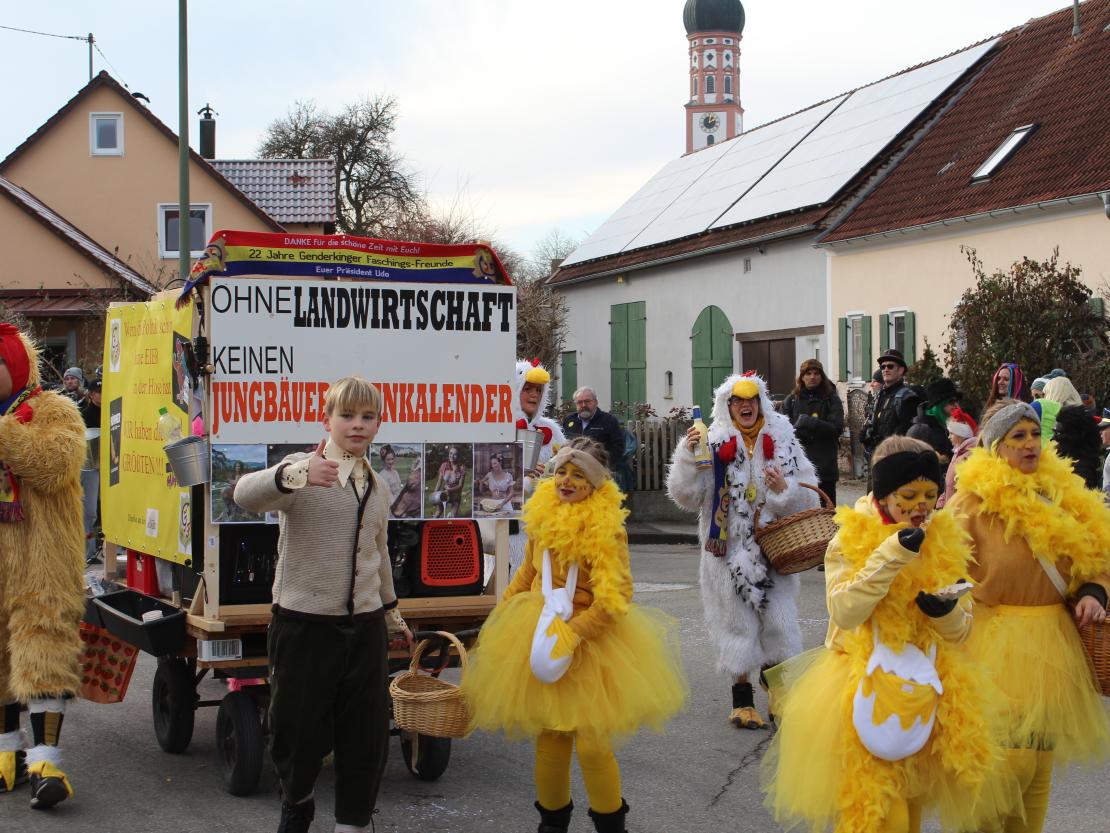 Faschingsumzug Mertingen