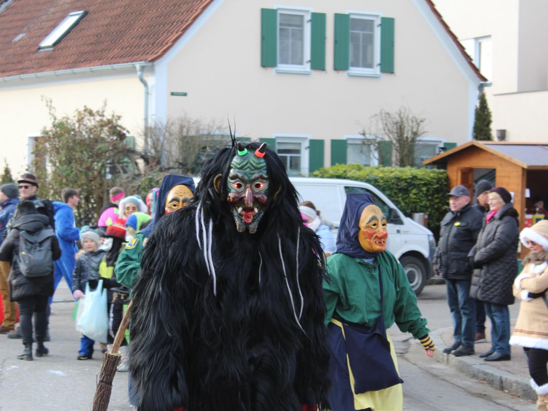 Faschingsumzug Mertingen