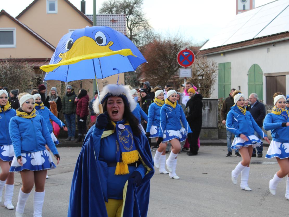 Faschingsumzug Mertingen