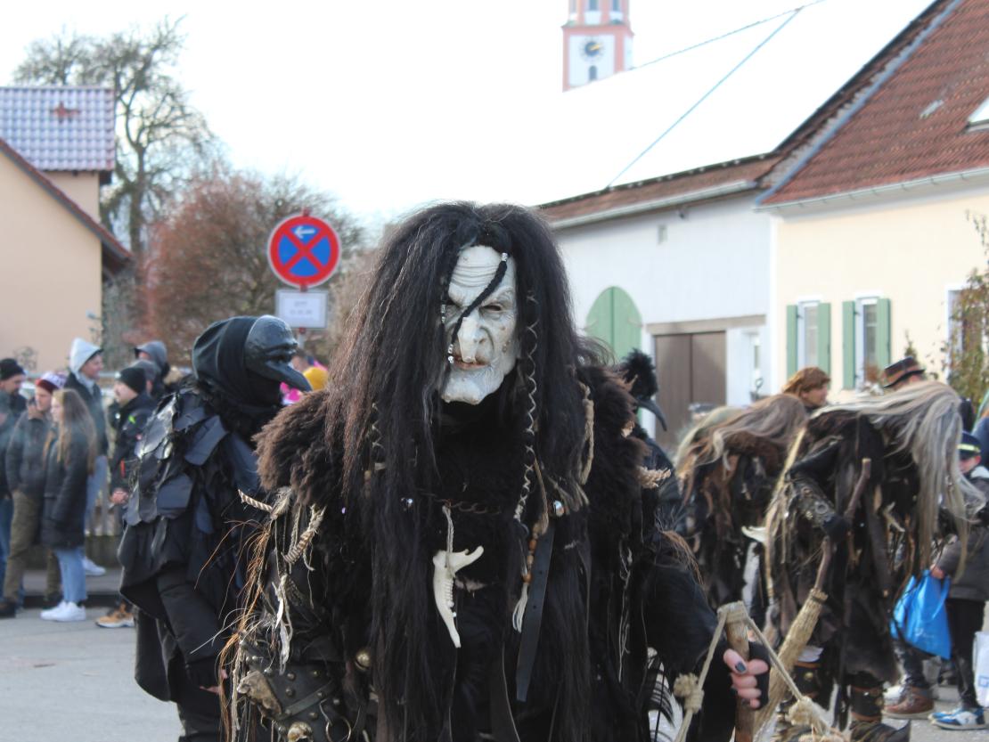 Faschingsumzug Mertingen