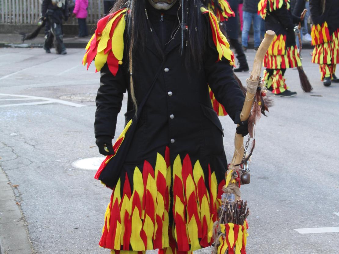 Faschingsumzug Mertingen