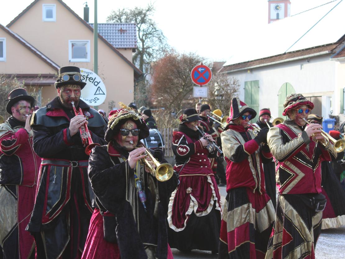 Faschingsumzug Mertingen