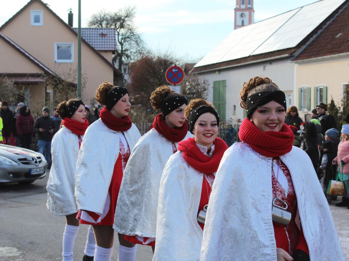 Faschingsumzug Mertingen