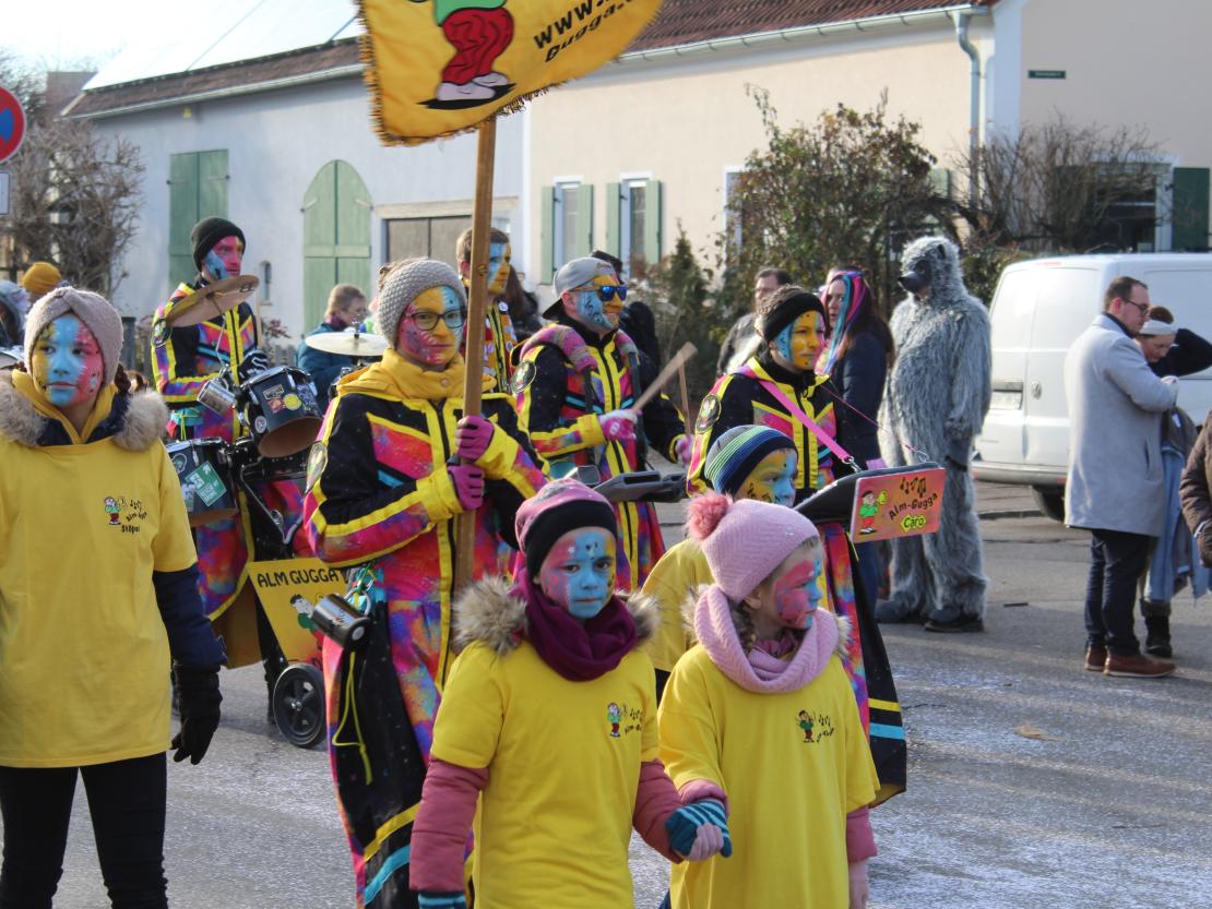 Faschingsumzug Mertingen