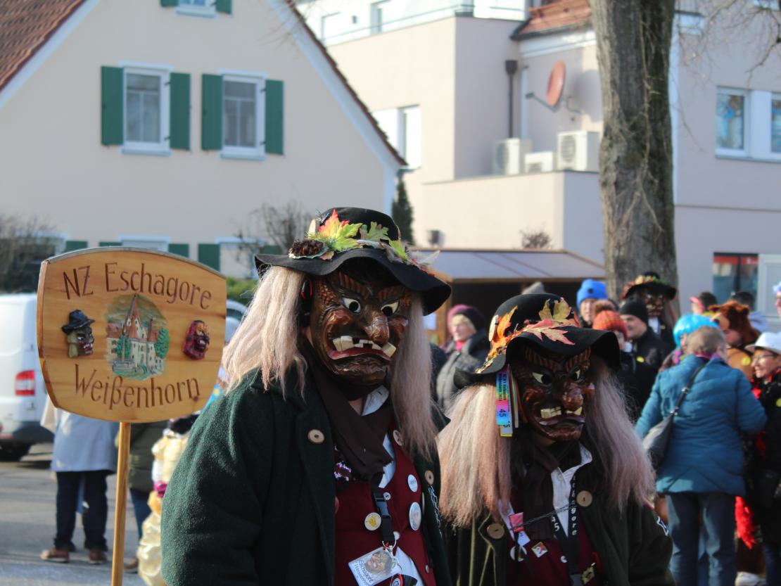 Faschingsumzug Mertingen