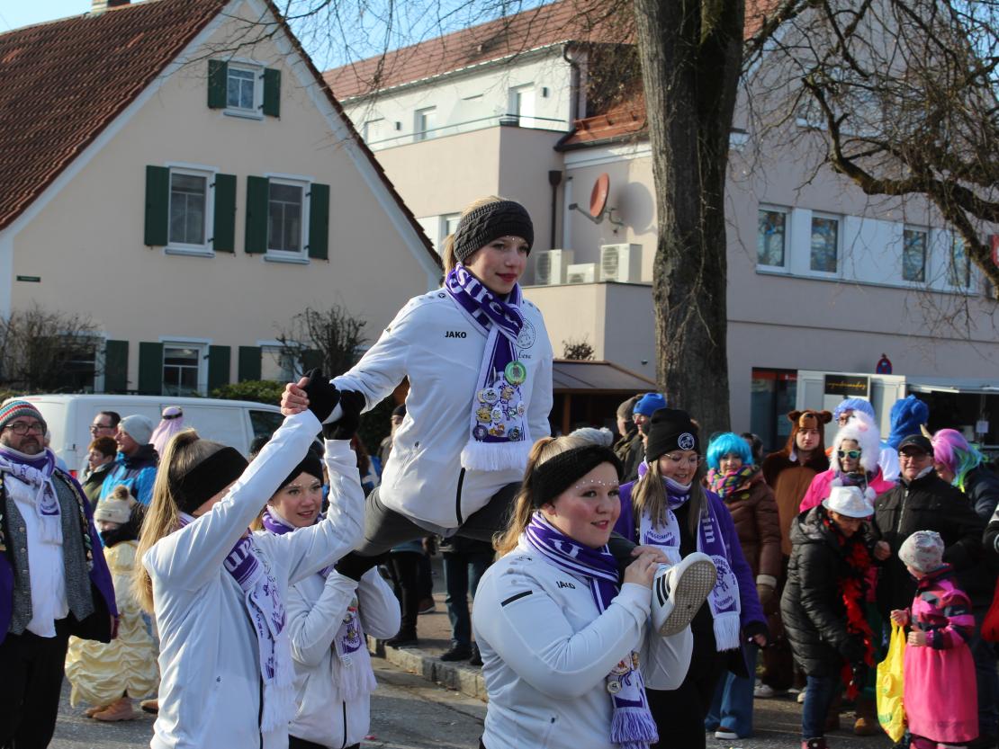 Faschingsumzug Mertingen