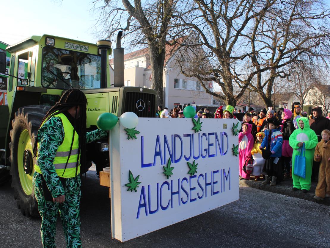 Faschingsumzug Mertingen
