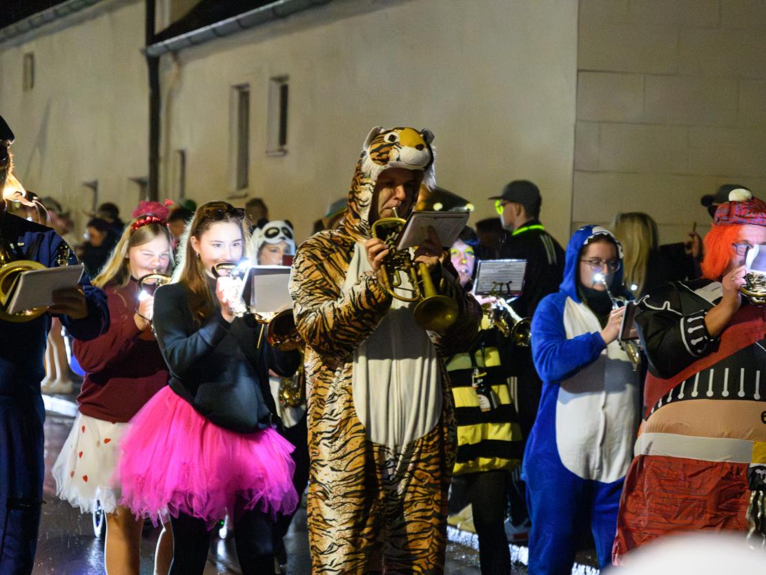 Nachtumzug Bäumenheim 2024