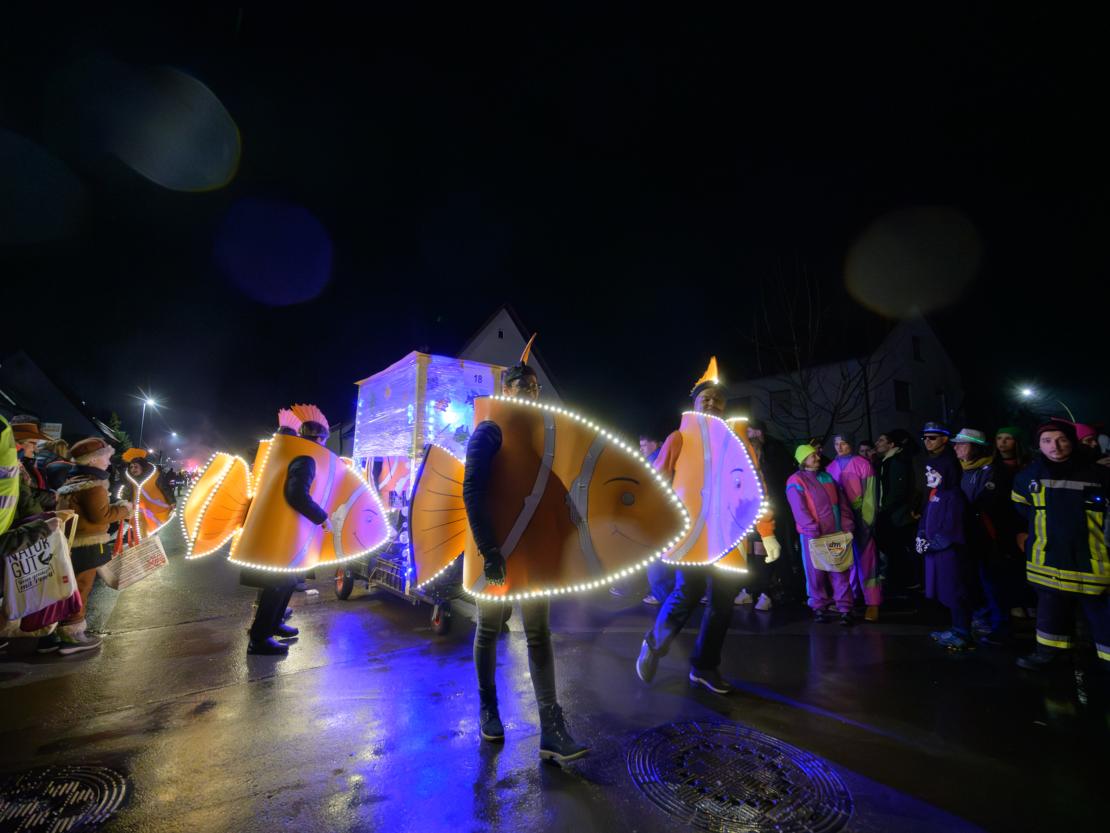 Nachtumzug Bäumenheim 2024