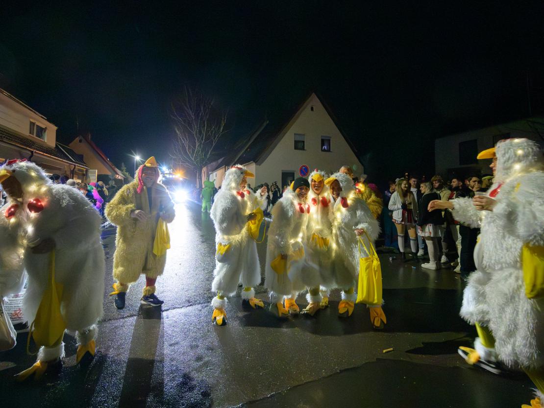 Nachtumzug Bäumenheim 2024