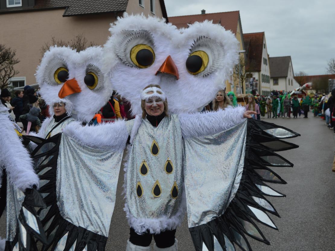 Megesheimer Faschingsumzug