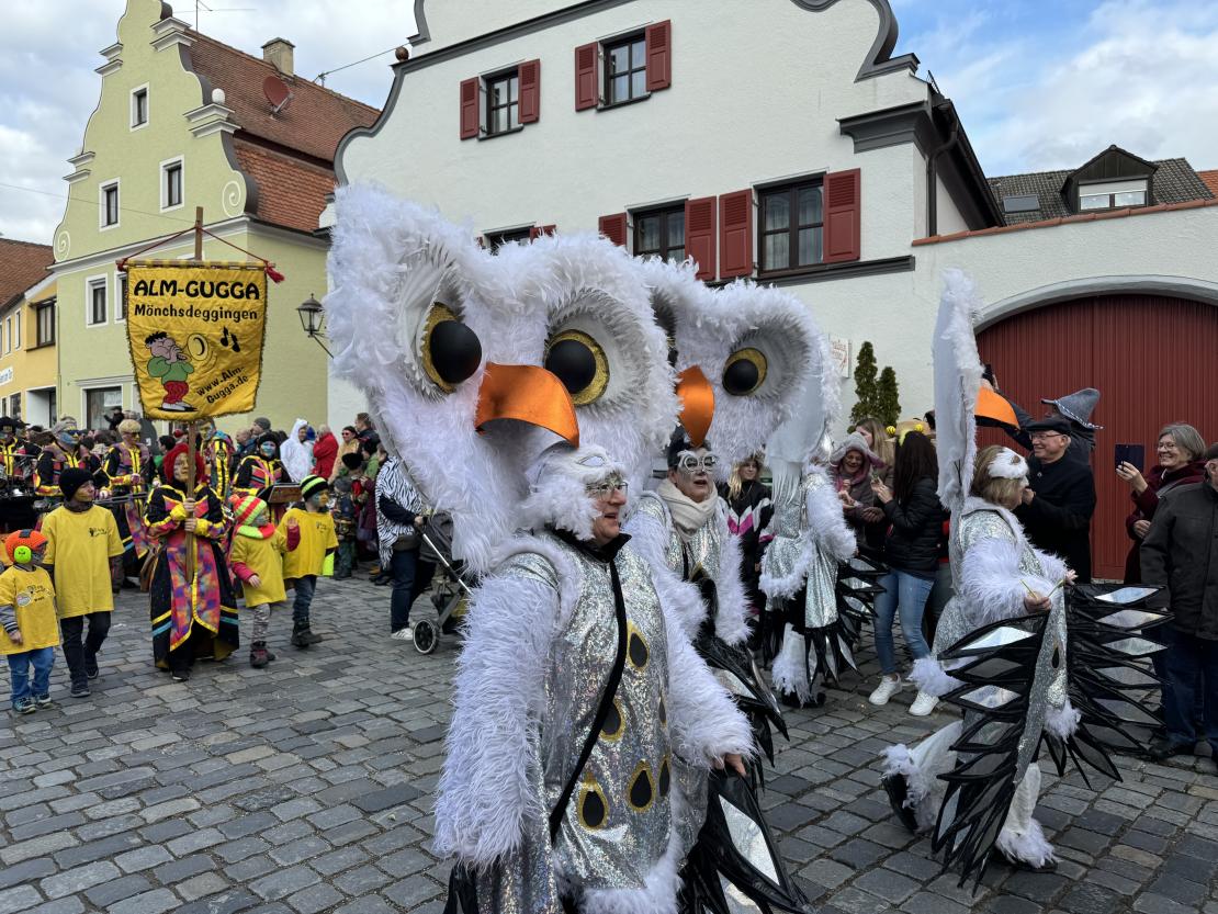Faschingsumzug in Wemding 2024