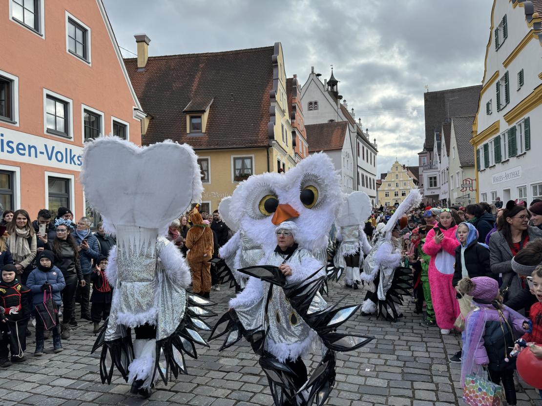Faschingsumzug in Wemding 2024