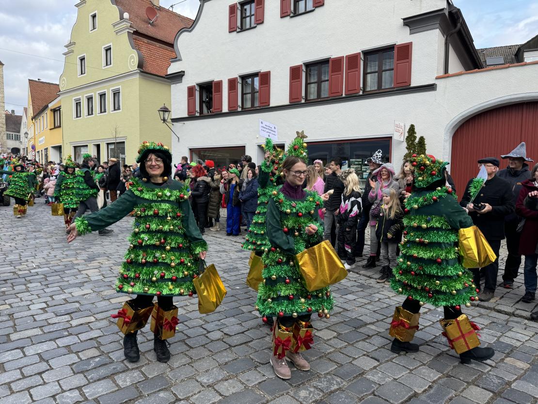 Faschingsumzug in Wemding 2024