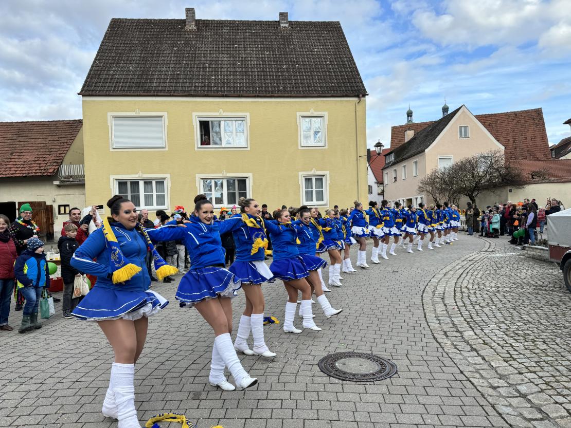 Faschingsumzug in Wemding 2024