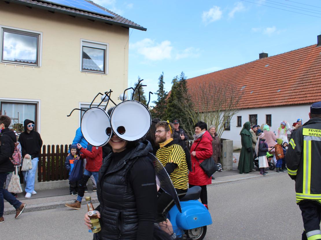 Faschingsumzug Hafenreut 2024