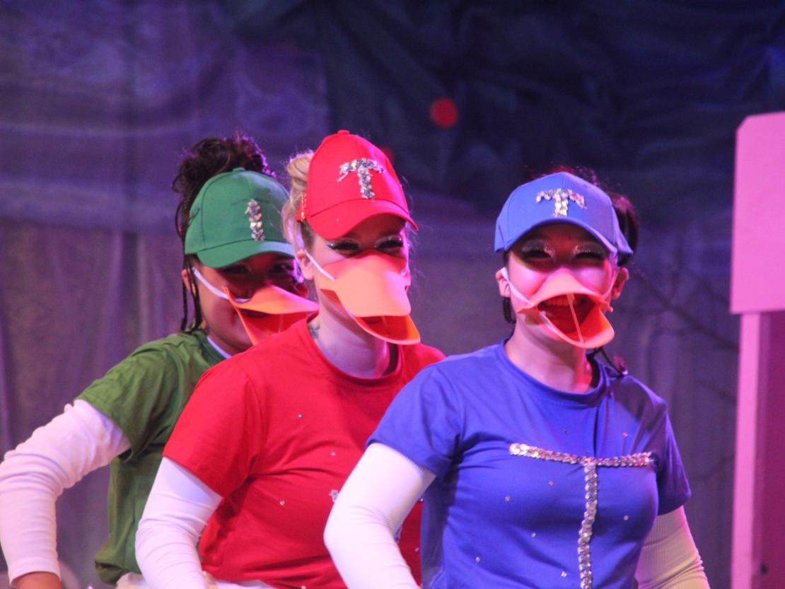 Prunksitzung Bäumenheim