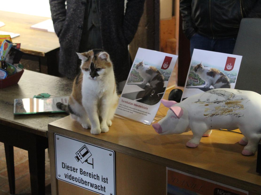 Hier sieht man die Turmkatze Wendelstein mit der Nördlinger Sau.