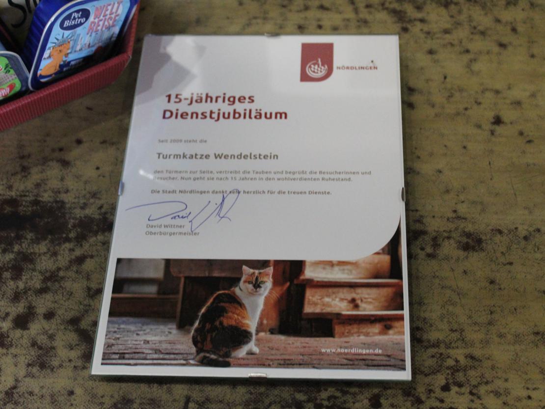 Hier sieht man die Urkunde zum Dienstjubiläum von Turmkatze Wendelstein.