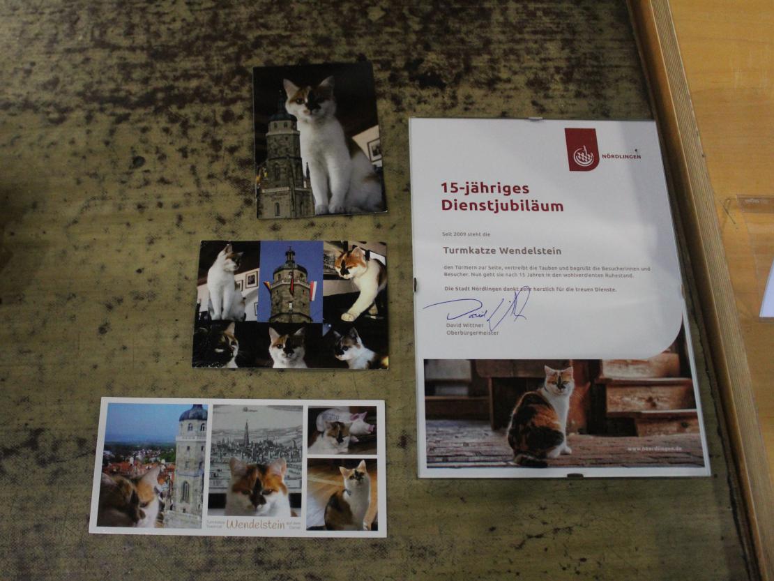 Hier sieht man die Postkartenedition und Jubiläumsurkunde der Turmkatze Wendelstein.