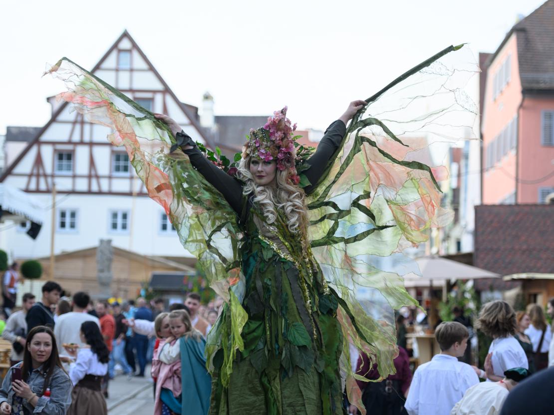 Historischer Markt Oettingen 2024