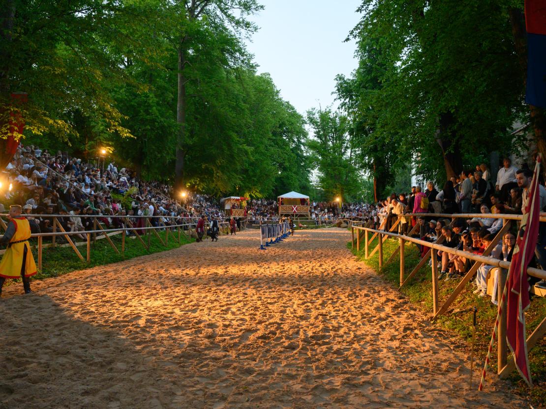 Historischer Markt Oettingen 2024