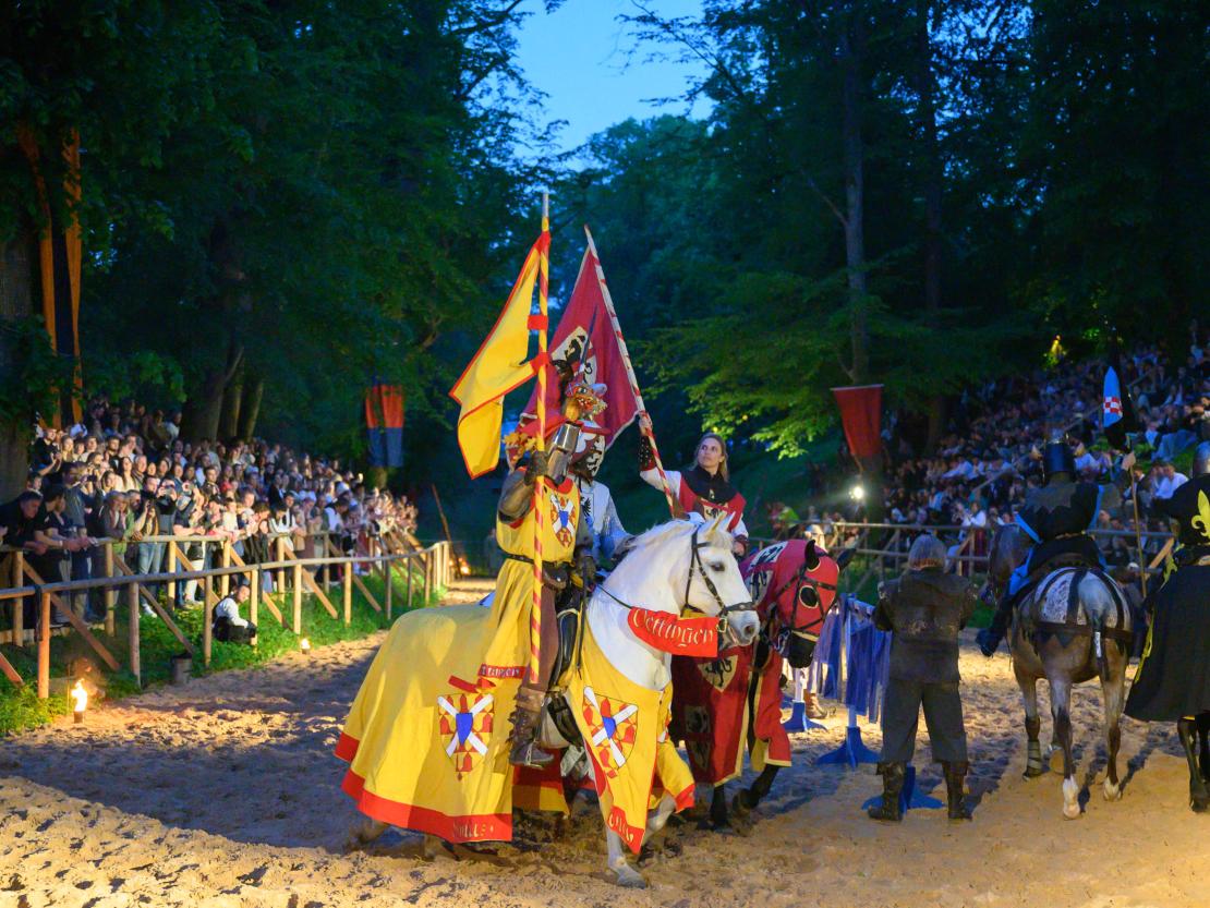 Historischer Markt Oettingen 2024