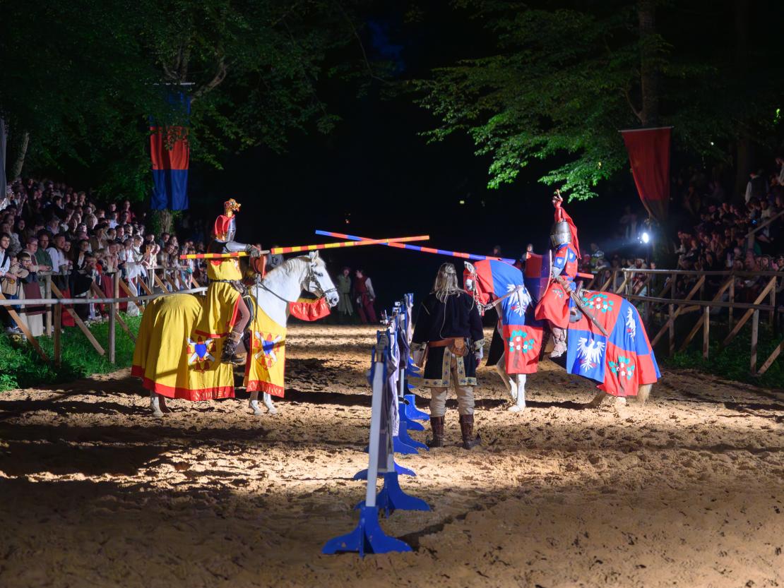 Historischer Markt Oettingen 2024