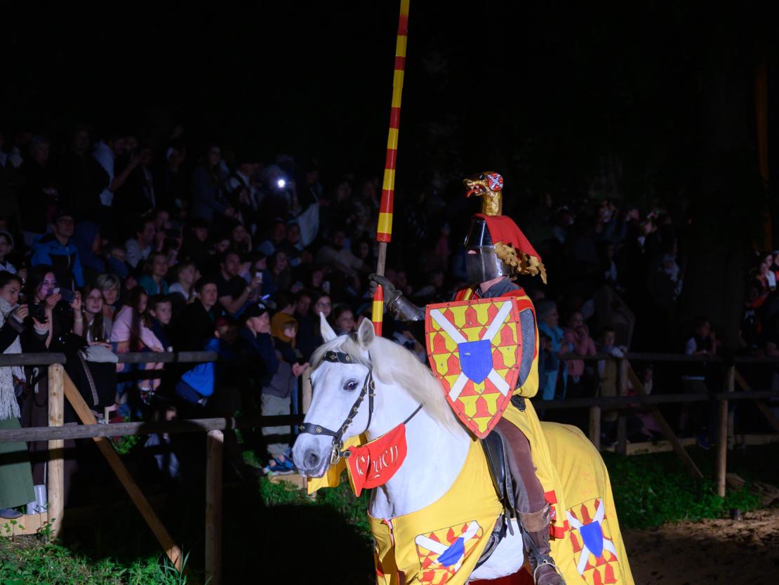 Historischer Markt Oettingen 2024