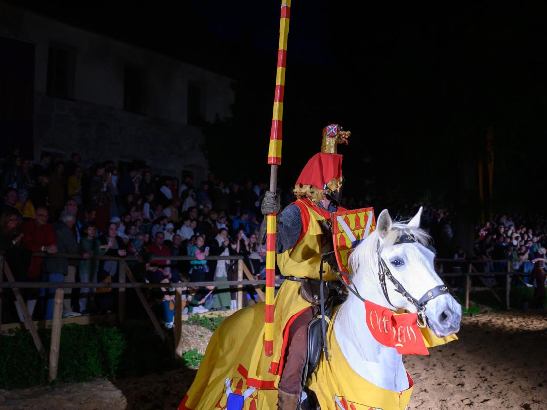 Historischer Markt Oettingen 2024