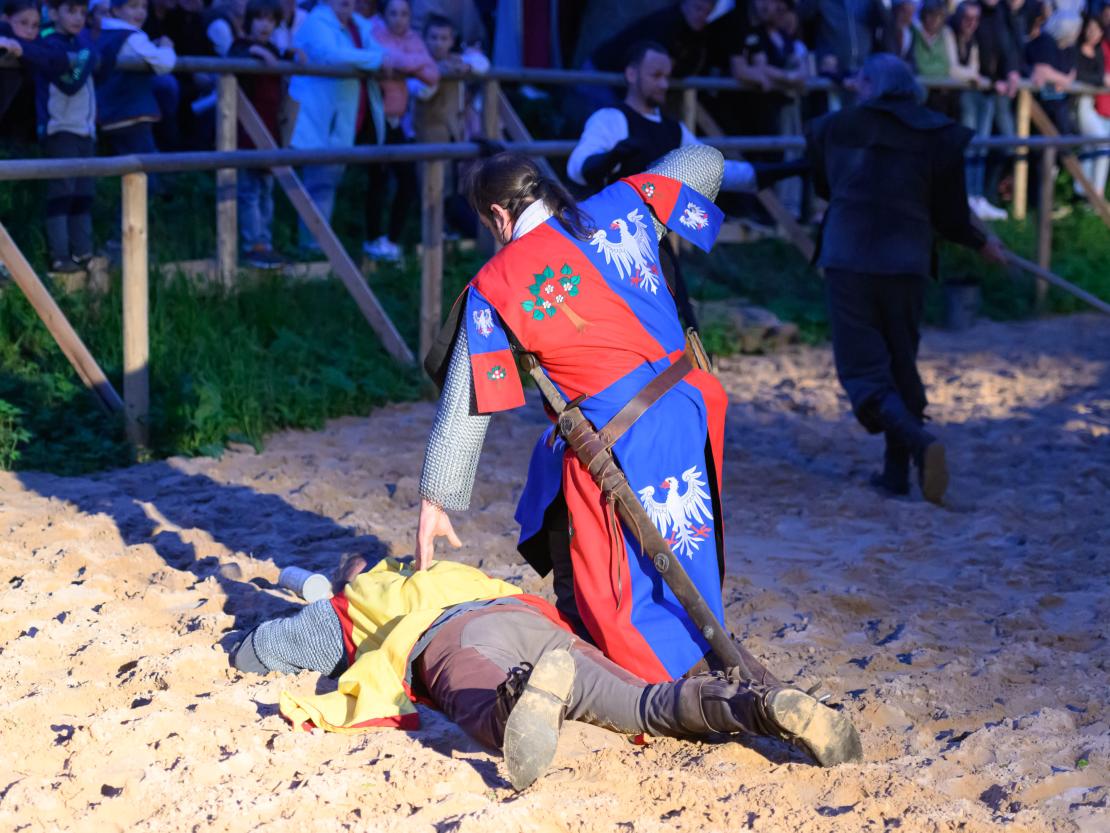 Historischer Markt Oettingen 2024