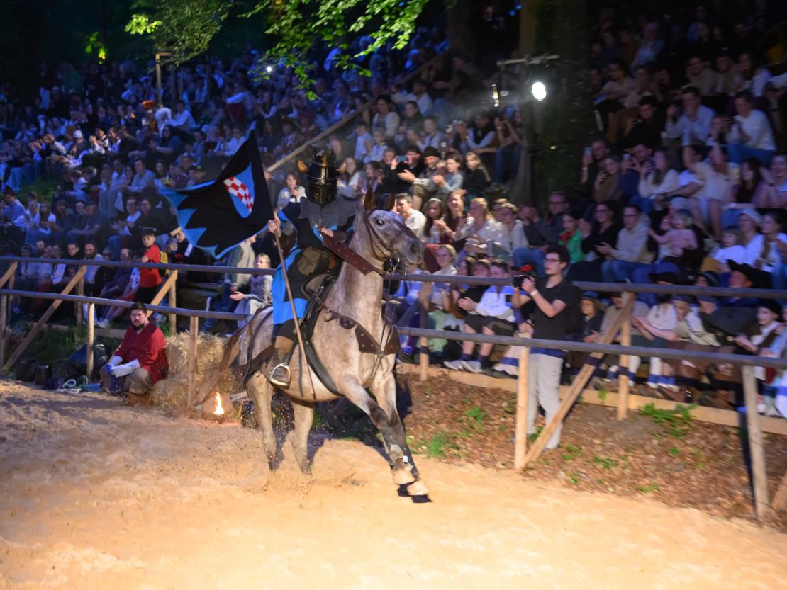 Historischer Markt Oettingen 2024