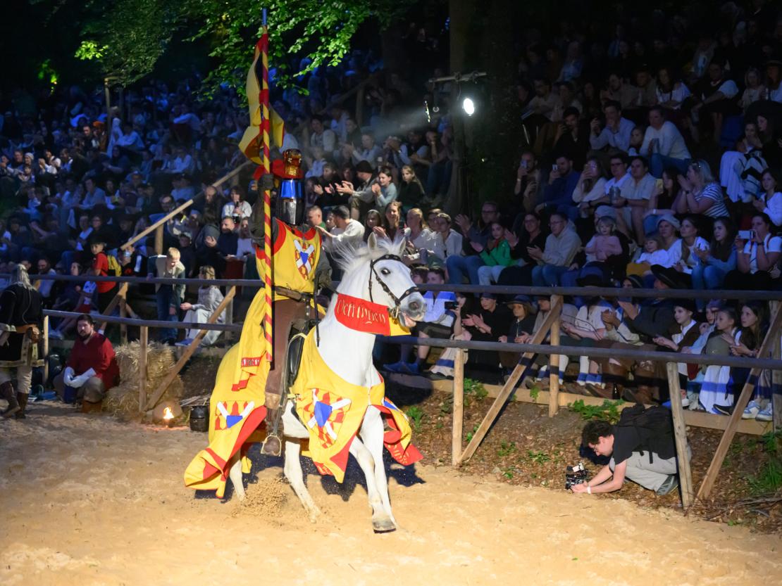 Historischer Markt Oettingen 2024