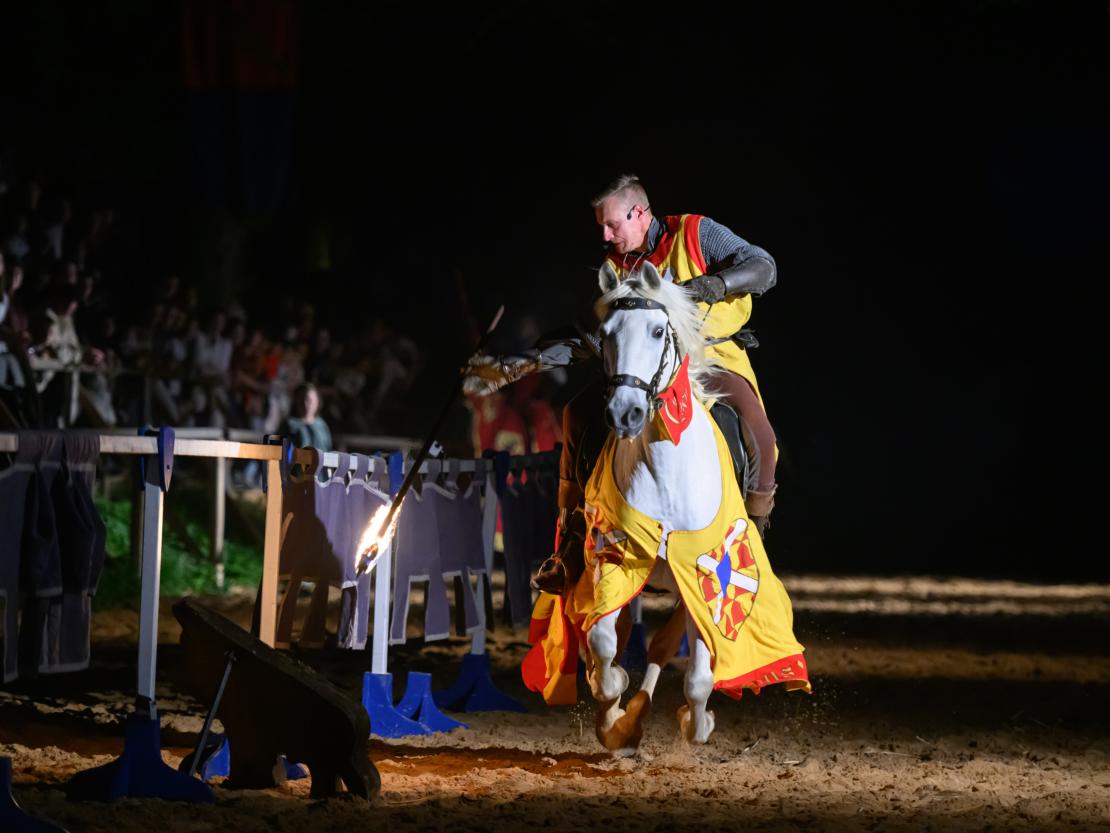Historischer Markt Oettingen 2024