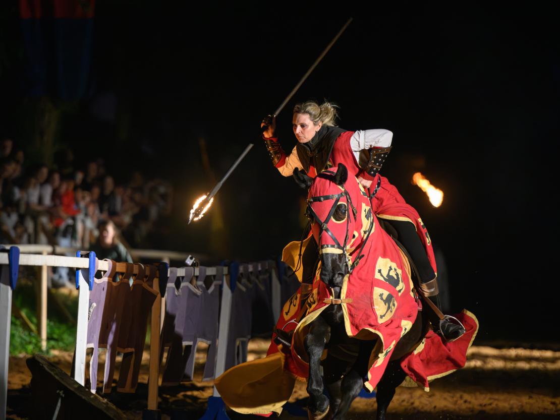 Historischer Markt Oettingen 2024