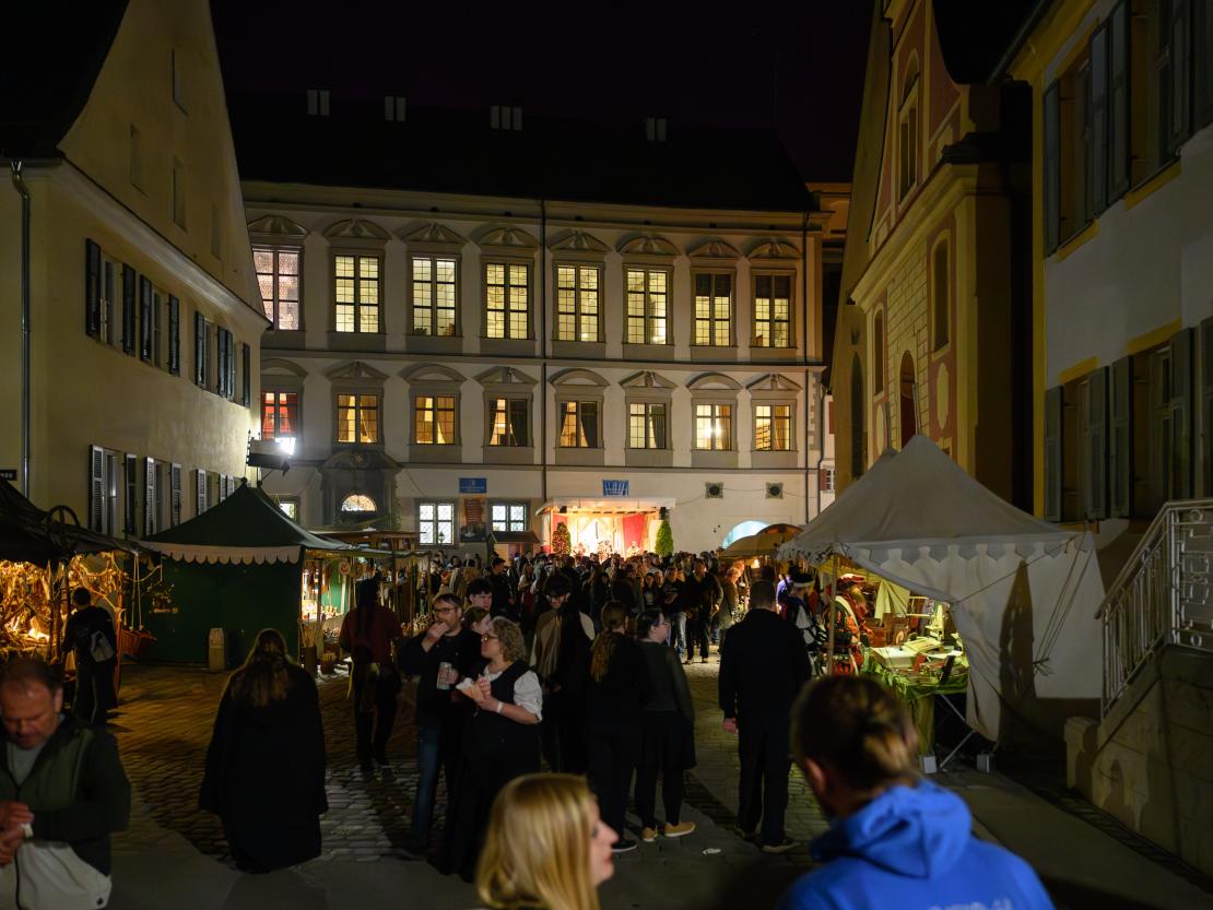 Historischer Markt Oettingen 2024