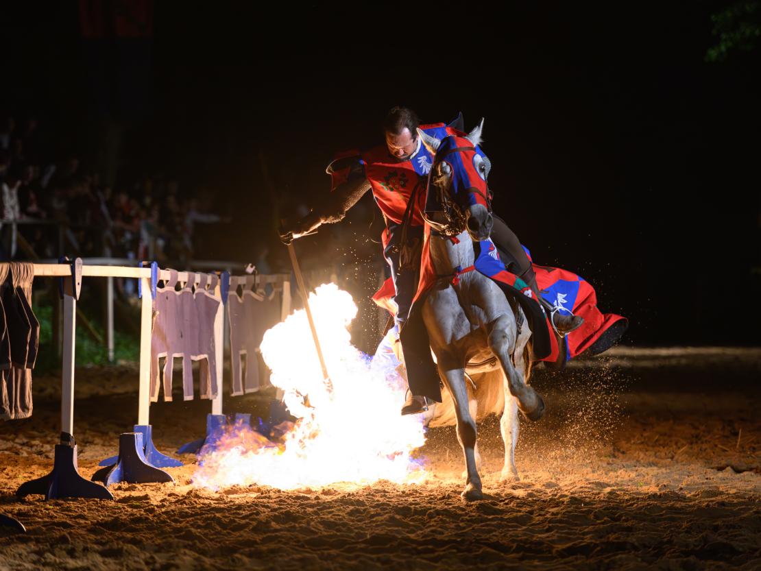 Historischer Markt Oettingen 2024
