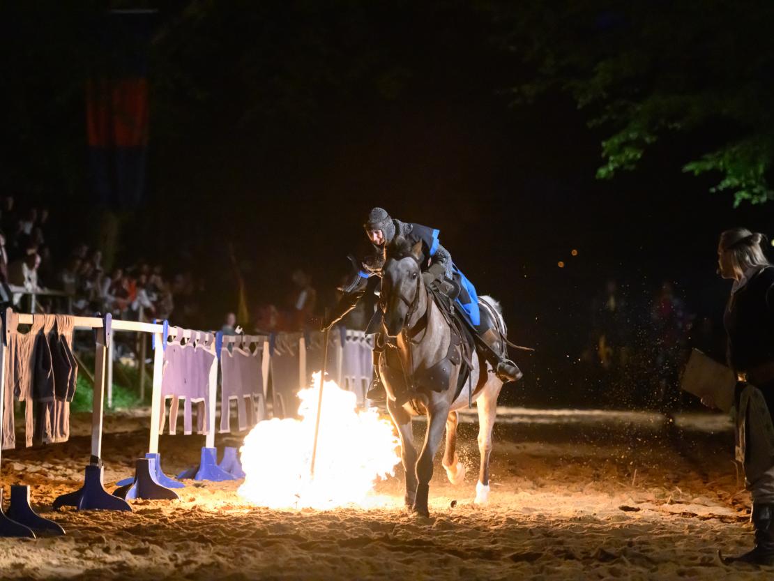 Historischer Markt Oettingen 2024