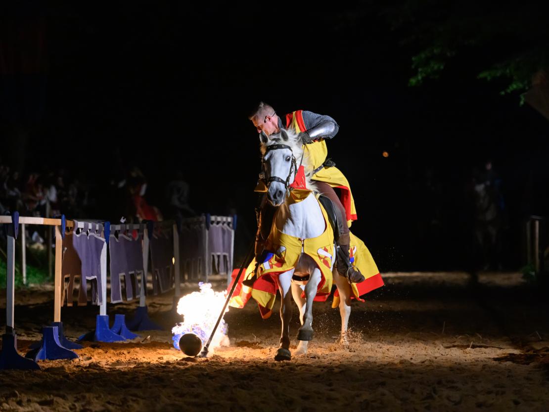 Historischer Markt Oettingen 2024