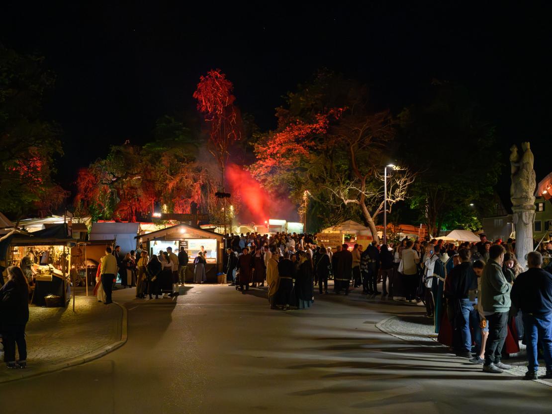 Historischer Markt Oettingen 2024