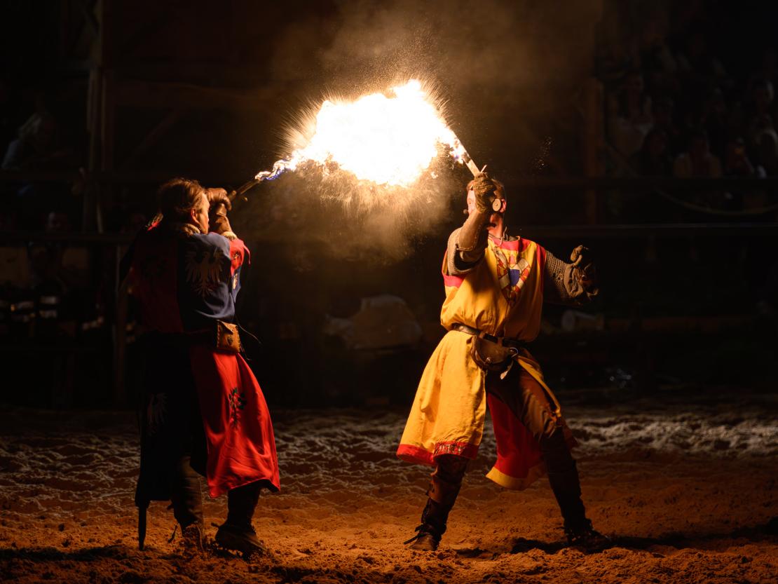 Historischer Markt Oettingen 2024