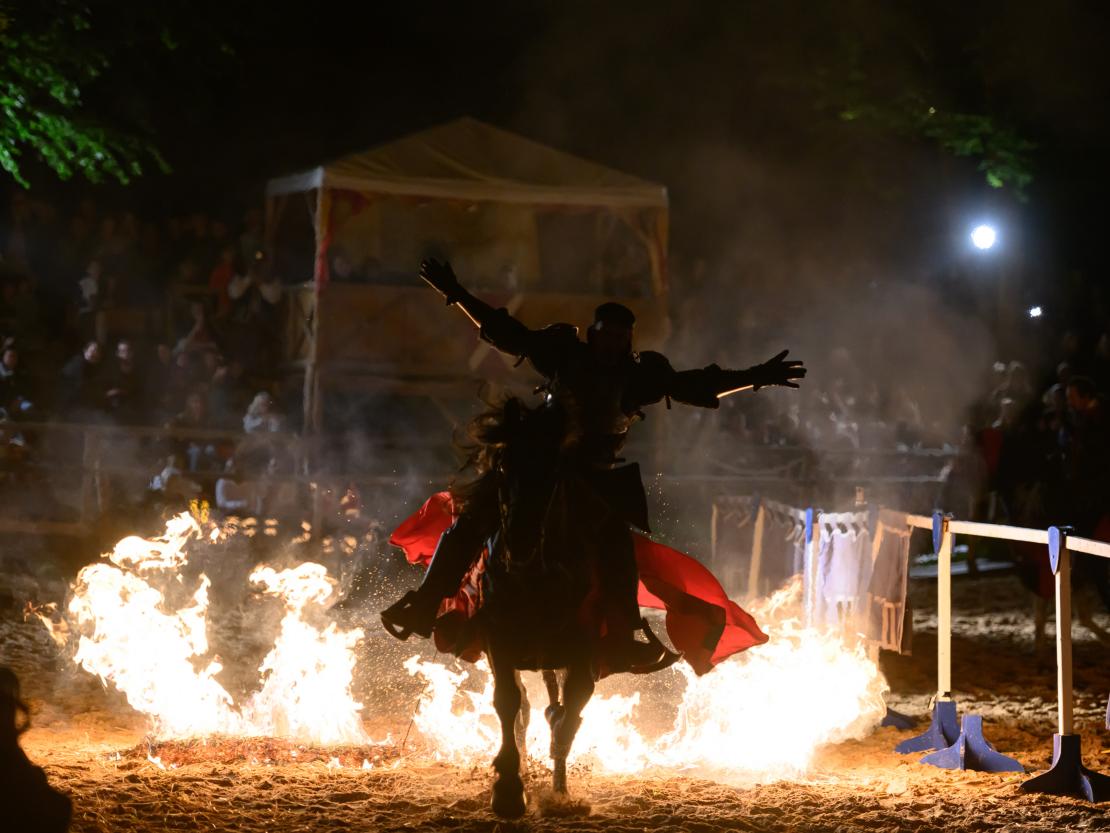 Historischer Markt Oettingen 2024
