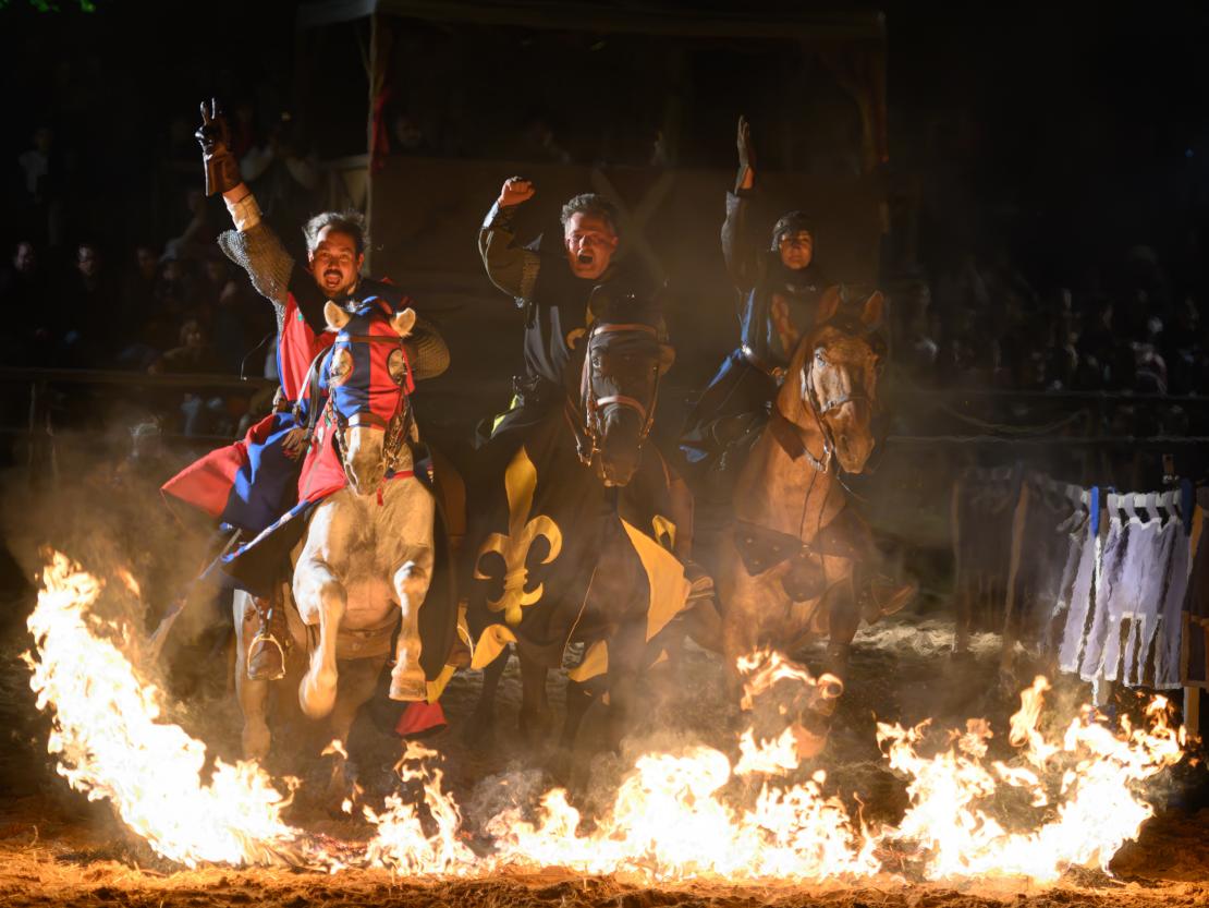 Historischer Markt Oettingen 2024