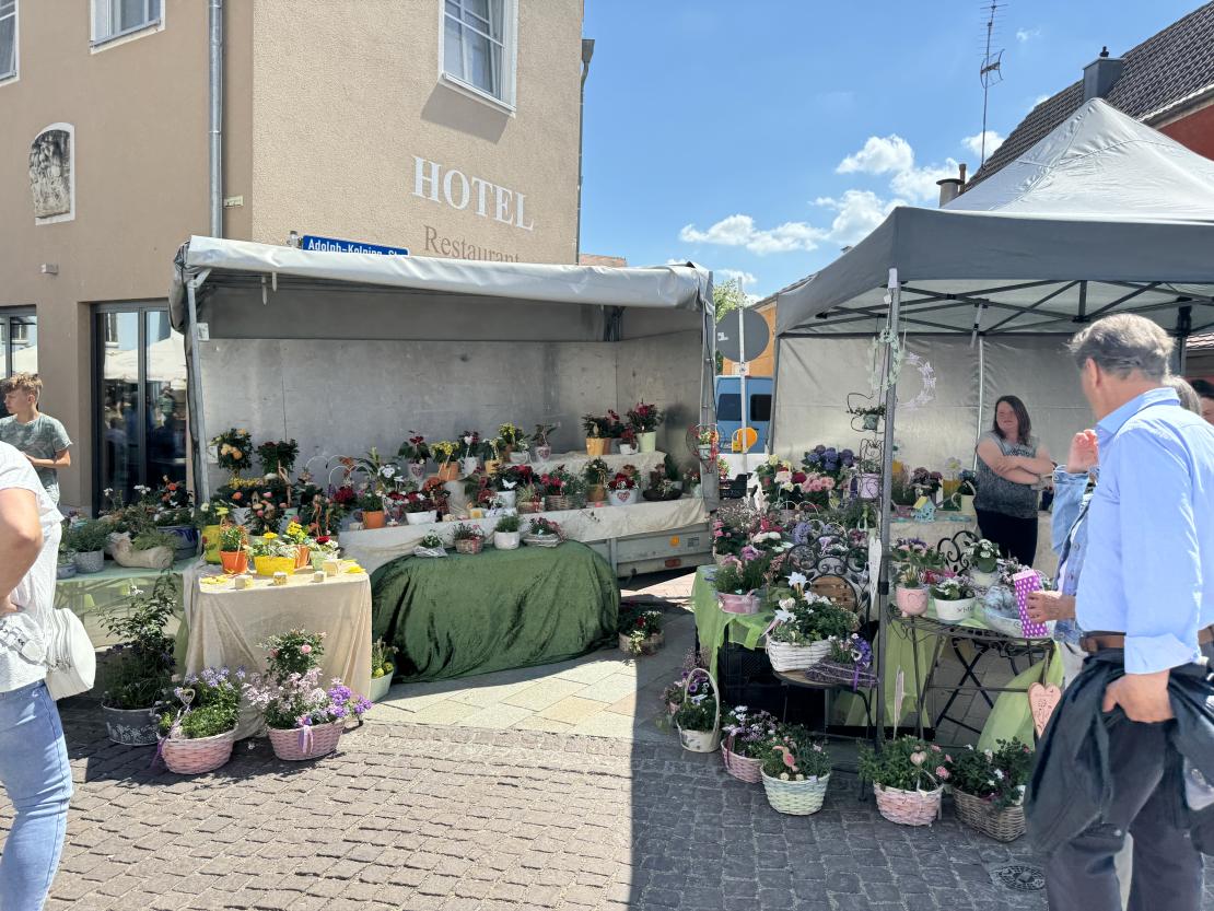 Das Bild zeigt Impressionen vom Donauwörther Maimarkt 2024.