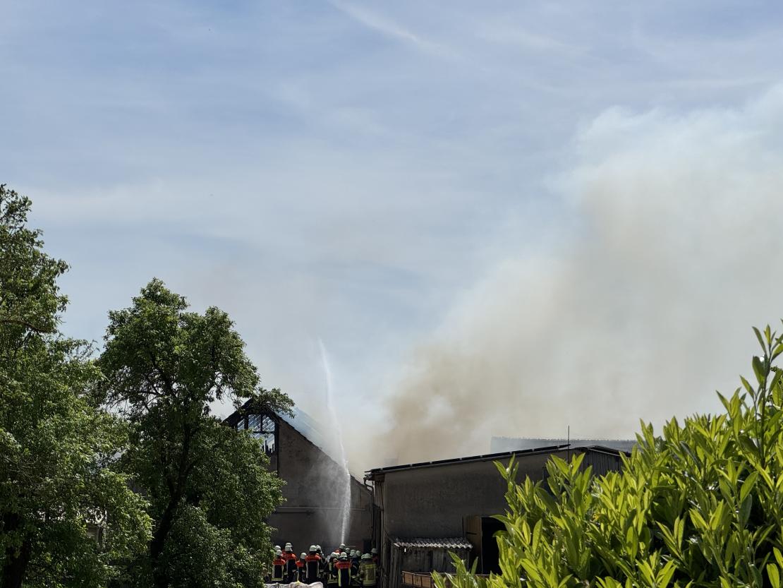 Das Bild zeigt das Anwesen